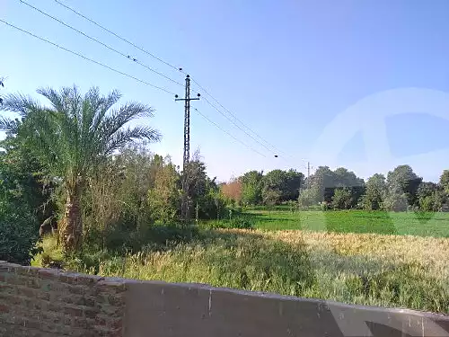 https://aqarmap.com.eg/en/listing/6876790-for-rent-luxor-luxor-city-el-awameya