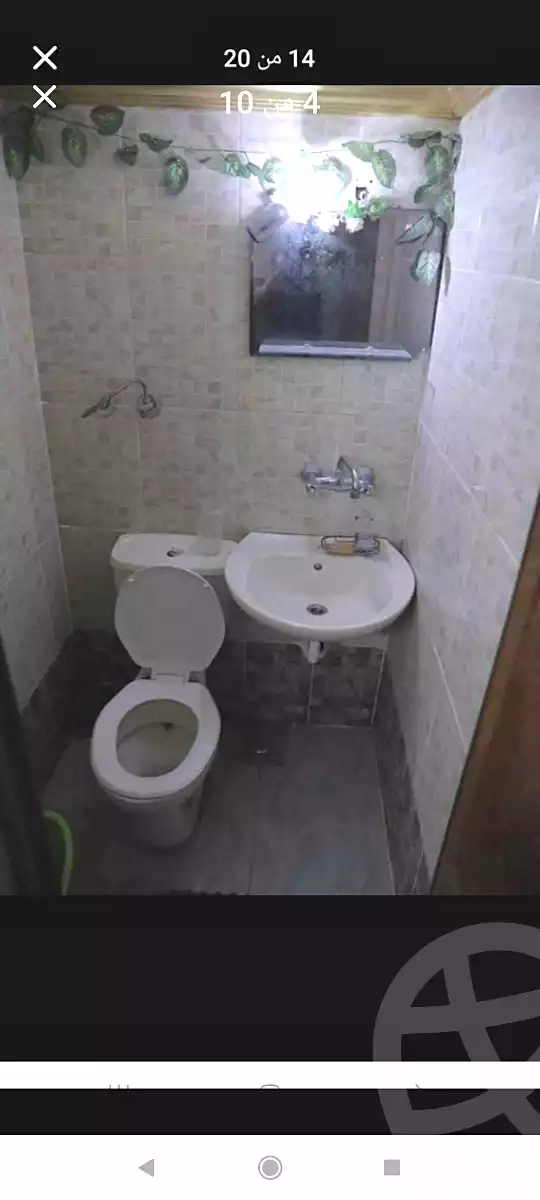 https://aqarmap.com.eg/en/listing/6987863-for-rent-alexandria-shds