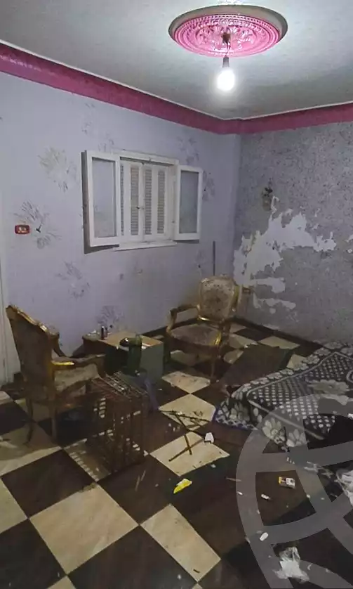 https://aqarmap.com.eg/en/listing/6993027-for-sale-alexandria-el-dekhela