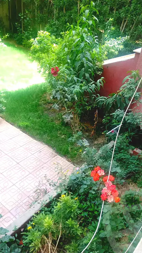 https://aqarmap.com.eg/en/listing/6995522-for-sale-cairo-hadayek-el-ahram