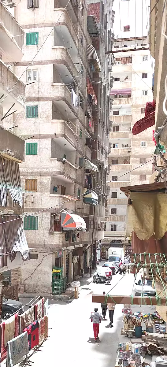 https://aqarmap.com.eg/ar/listing/6997988-for-sale-alexandria-el-asafra-salman-el-farsi-st