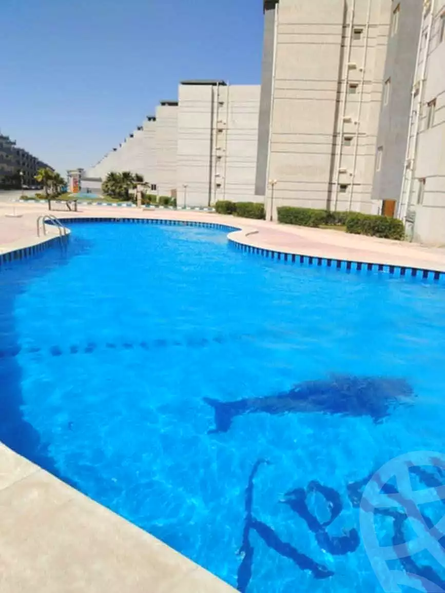 1 BR Chalet in Tahiti Land Resort, photo 5 of 9