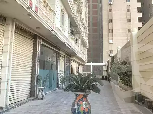 https://aqarmap.com.eg/ar/listing/6999860-for-sale-alexandria-miami-iskandar-ibrahim-st