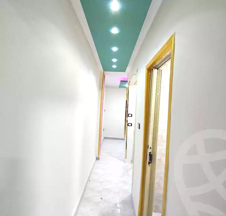 https://aqarmap.com.eg/ar/listing/7001023-for-sale-alexandria-lsywf-el-falki-street-16-el-eslah