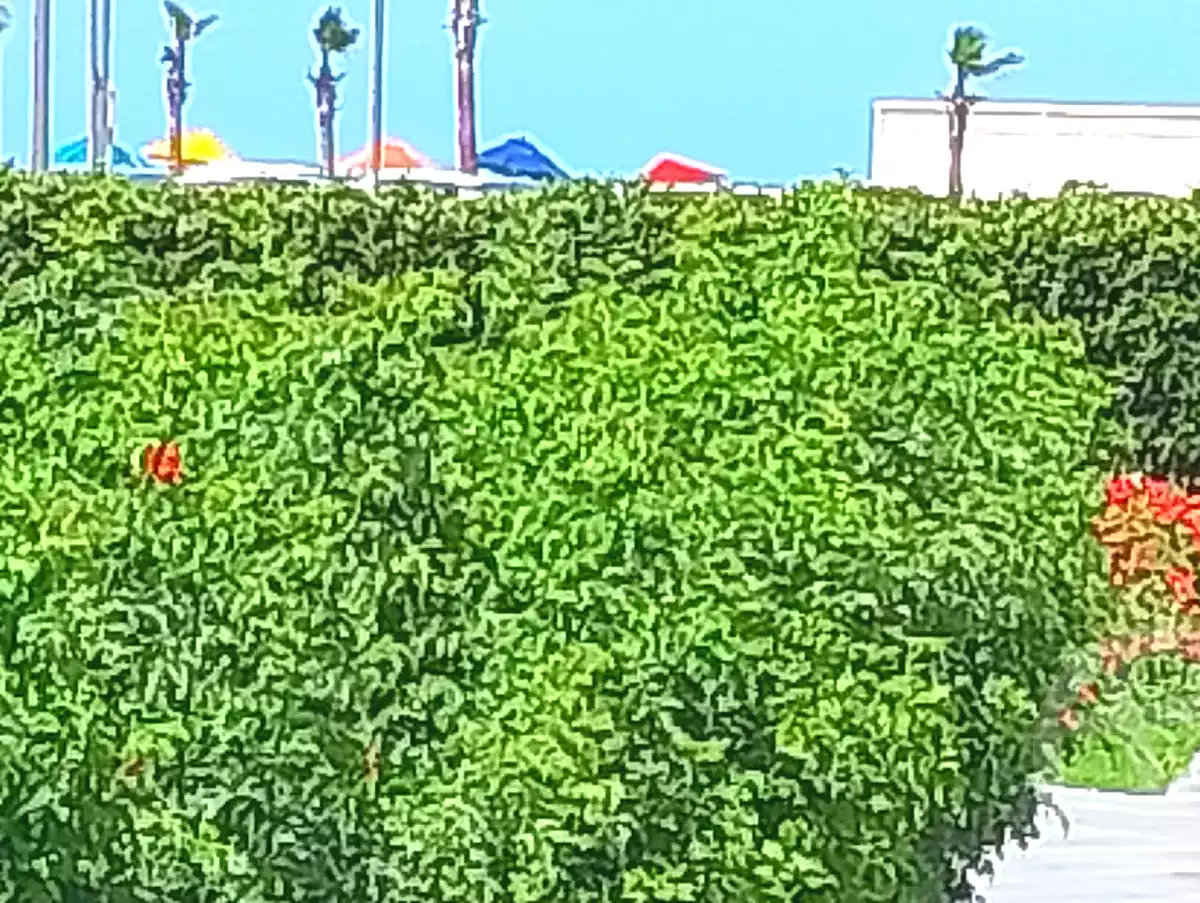 https://aqarmap.com.eg/ar/listing/7001025-for-rent-port-said-kmbwnd-fy-bwr-s-yd-porto-said-compound-amer-group