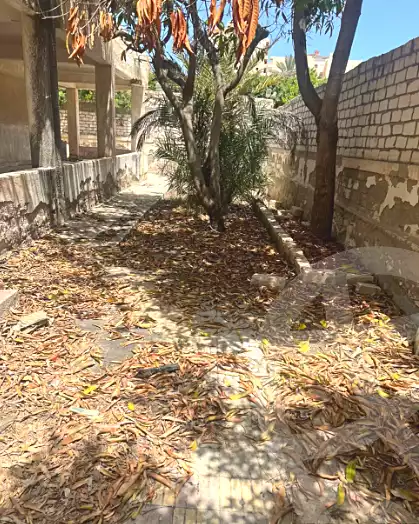 https://aqarmap.com.eg/ar/listing/7002847-for-sale-alexandria-al-agamy-bw-ywsf