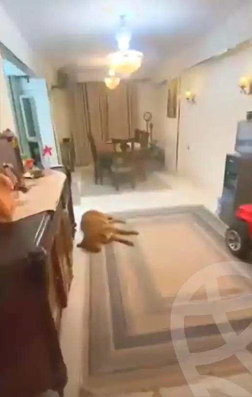 https://aqarmap.com.eg/ar/listing/7003748-for-sale-cairo-nozha-2-el-khamseen-st