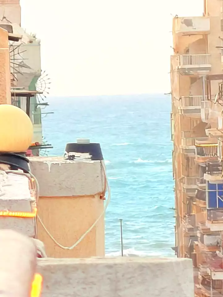 https://aqarmap.com.eg/ar/listing/7005278-for-sale-alexandria-al-agamy-shataa-el-nakheel