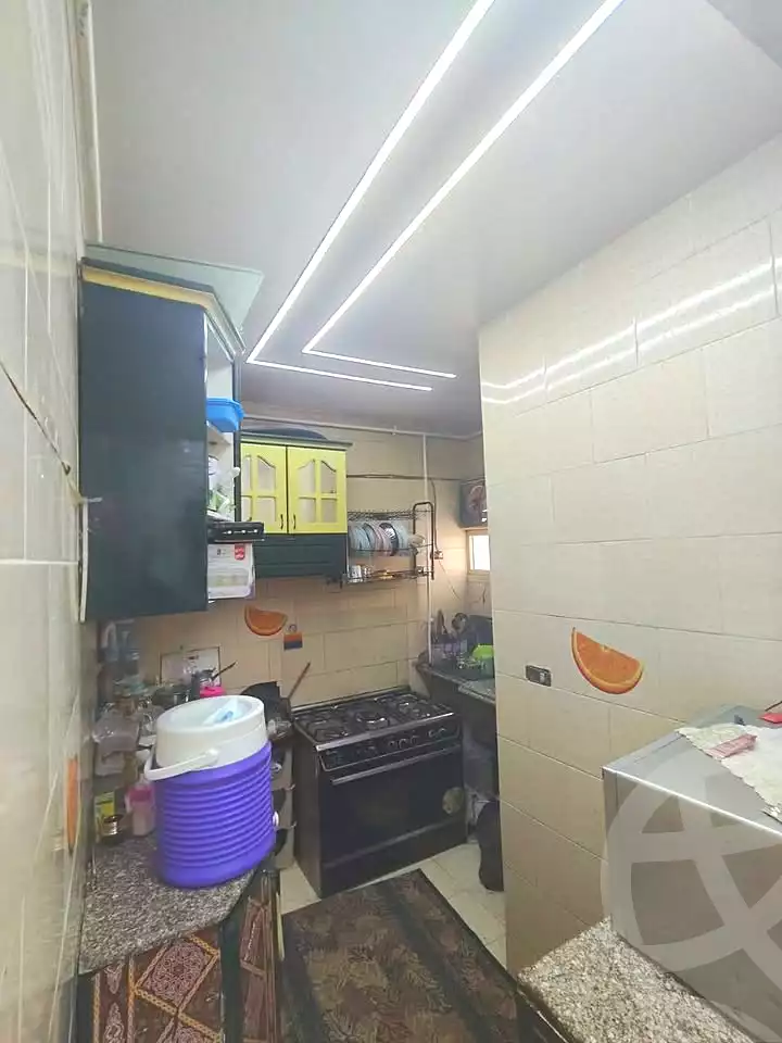 https://aqarmap.com.eg/ar/listing/7007603-for-sale-alexandria-al-agamy-lbytsh-bianchiii-el-arbaeen-st