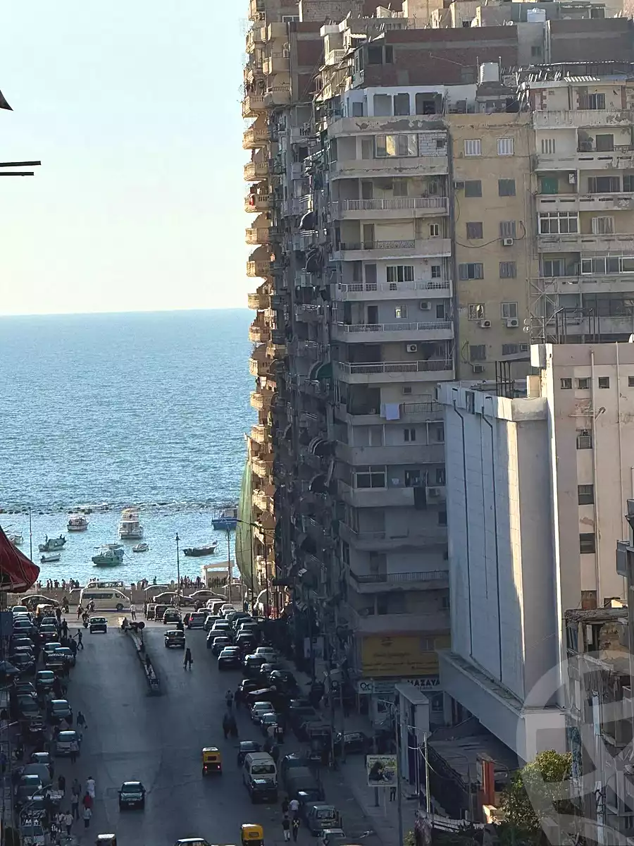 https://aqarmap.com.eg/en/listing/7008548-for-sale-alexandria-miami-iskandar-ibrahim-st
