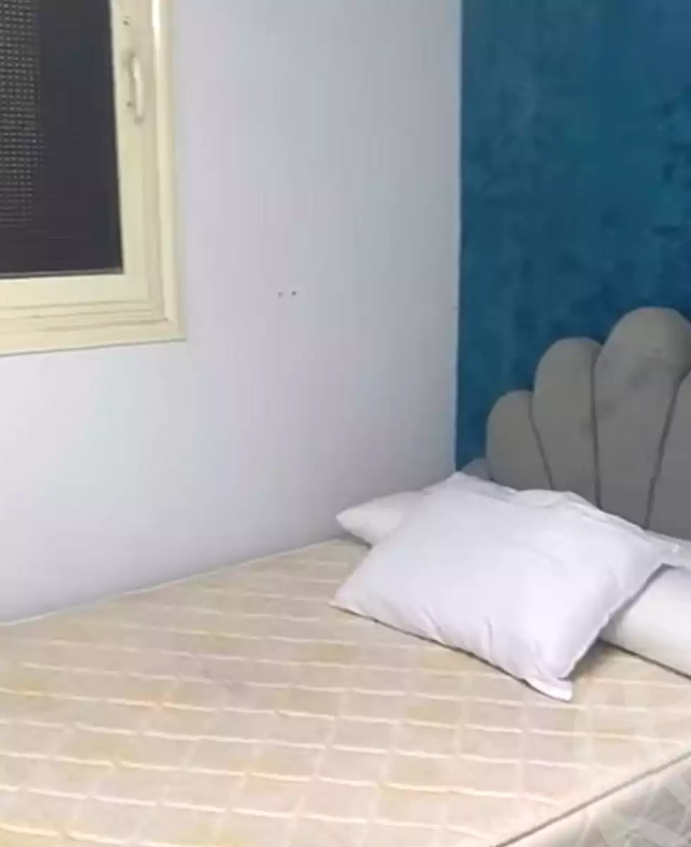 https://aqarmap.com.eg/en/listing/7019384-for-sale-cairo-ain-shams-yaacoub-boutros-st