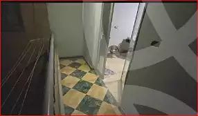 https://aqarmap.com.eg/ar/listing/7020461-for-sale-cairo-el-haram-el-lebeny