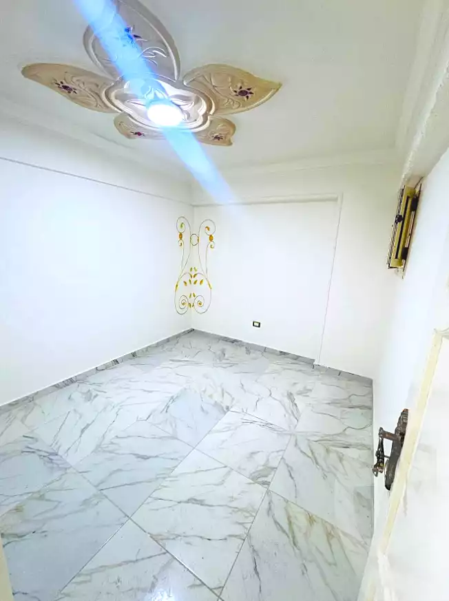 https://aqarmap.com.eg/en/listing/7021548-for-sale-alexandria-lsywf-el-falki-street-16-el-eslah
