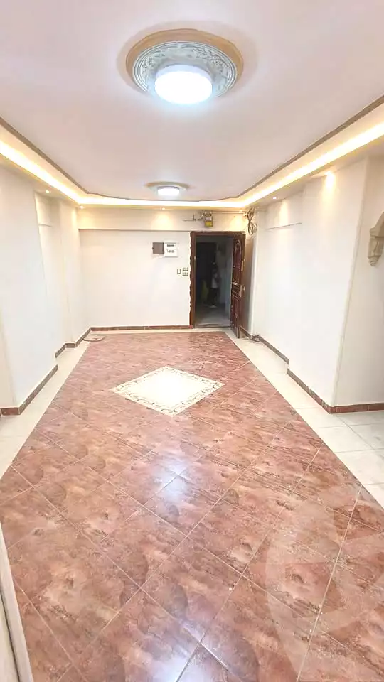 https://aqarmap.com.eg/en/listing/7023523-for-sale-alexandria-lsywf-el-falki