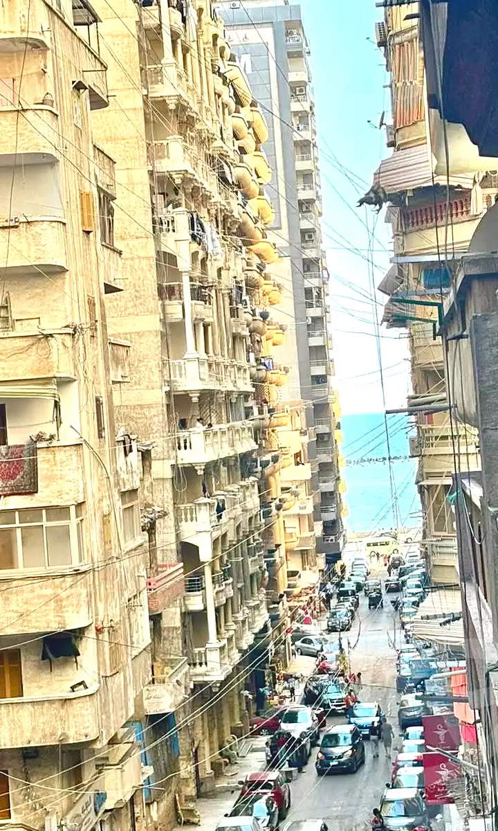 https://aqarmap.com.eg/en/listing/7023848-for-sale-alexandria-sydy-bshr-sydy-bshr-bhry-street-15