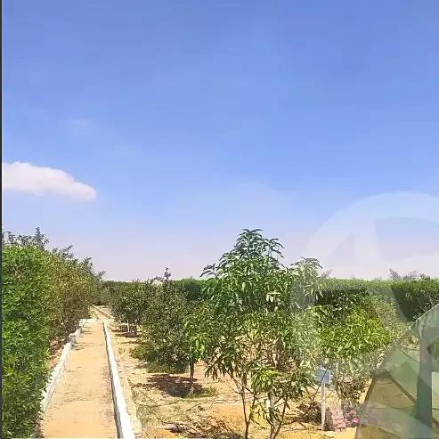 https://aqarmap.com.eg/ar/listing/7025750-for-sale-el-fayoum-asyut-rd