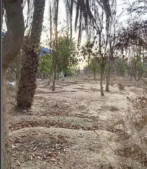 https://aqarmap.com.eg/ar/listing/7026408-for-sale-ismailia-ismailia-city