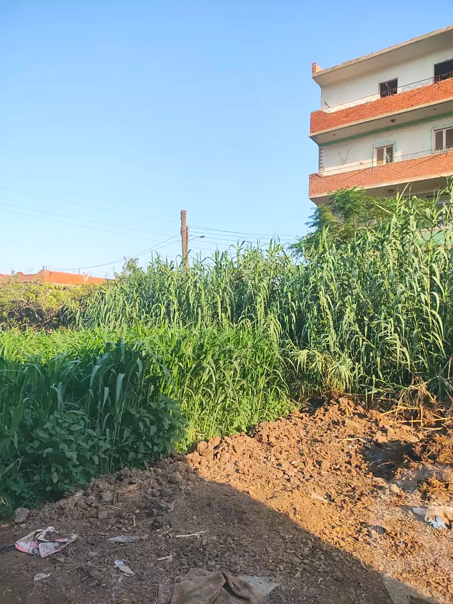 https://aqarmap.com.eg/en/listing/7026594-for-sale-qalyubia-tokh-el-sfaina