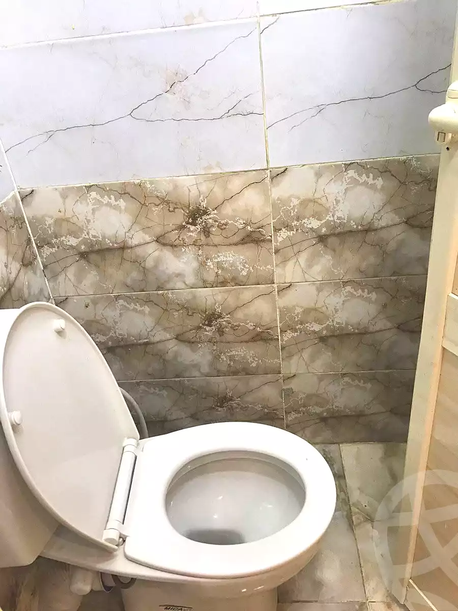 https://aqarmap.com.eg/en/listing/7028484-for-rent-cairo-faisal-el-maryotyah