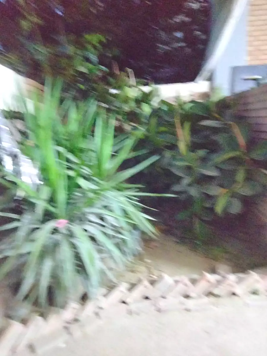 https://aqarmap.com.eg/ar/listing/7030879-for-sale-alexandria-al-agamy-el-hanouvel-al-asdakaa-st