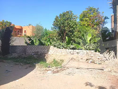 https://aqarmap.com.eg/ar/listing/6496646-for-sale-luxor-luxor-city-el-awameya