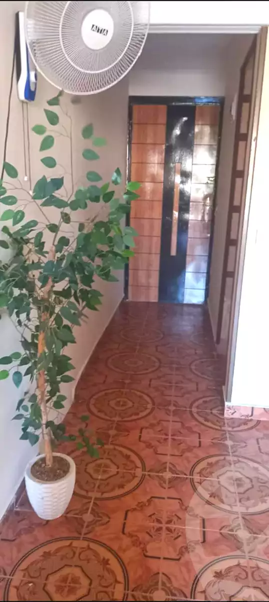 https://aqarmap.com.eg/ar/listing/7033673-for-rent-alexandria-al-agamy-lbytsh