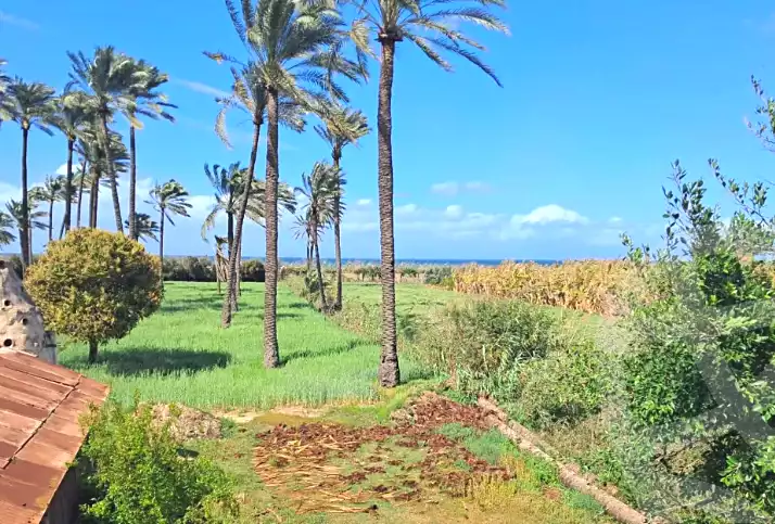 https://aqarmap.com.eg/en/listing/7034836-for-sale-alexandria-al-mamoura