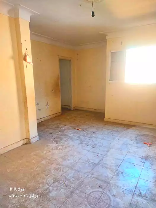 https://aqarmap.com.eg/en/listing/7035455-for-sale-alexandria-fyktwry-el-galaa-st