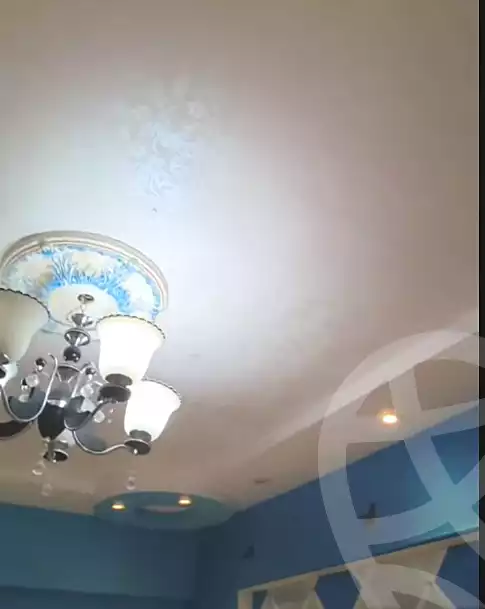 https://aqarmap.com.eg/en/listing/7035775-for-rent-alexandria-al-agamy-el-daresa-st