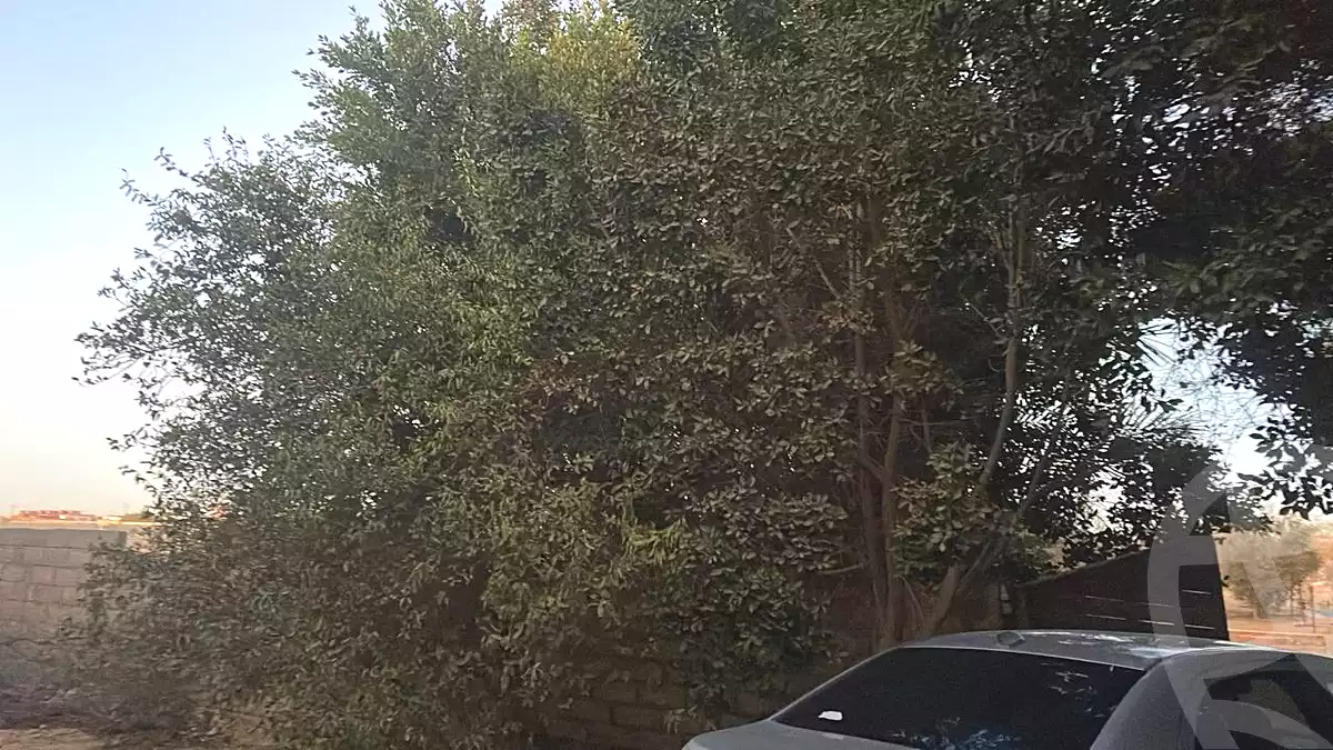 https://aqarmap.com.eg/en/listing/7043139-for-sale-cairo-6th-of-october-green-belt-wadi-el-nile