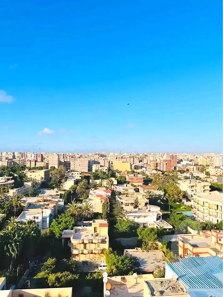 https://aqarmap.com.eg/en/listing/7045156-for-sale-alexandria-al-agamy