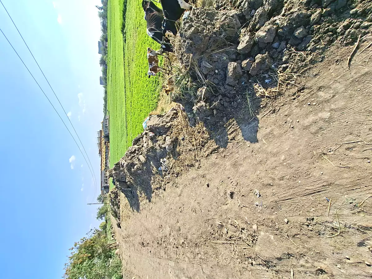 https://aqarmap.com.eg/ar/listing/7046451-for-sale-sharqia-faqous-el-sawaleh