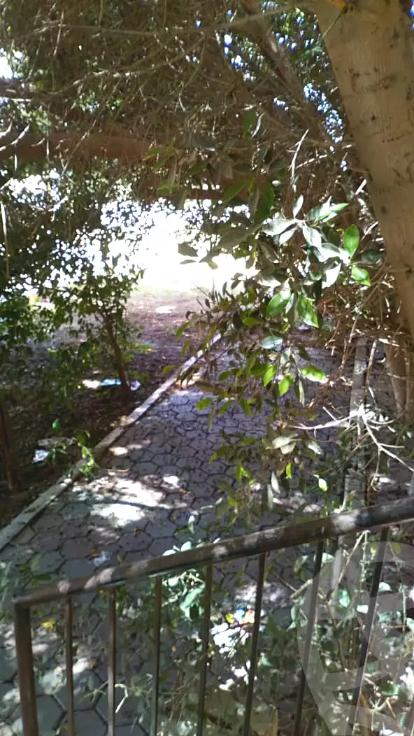 https://aqarmap.com.eg/ar/listing/7049725-for-sale-cairo-new-cairo-gharb-arabila-selim-st