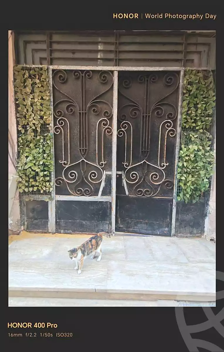 https://aqarmap.com.eg/en/listing/7053610-for-sale-alexandria-al-agamy-el-hanouvel-el-zahraa-city-st