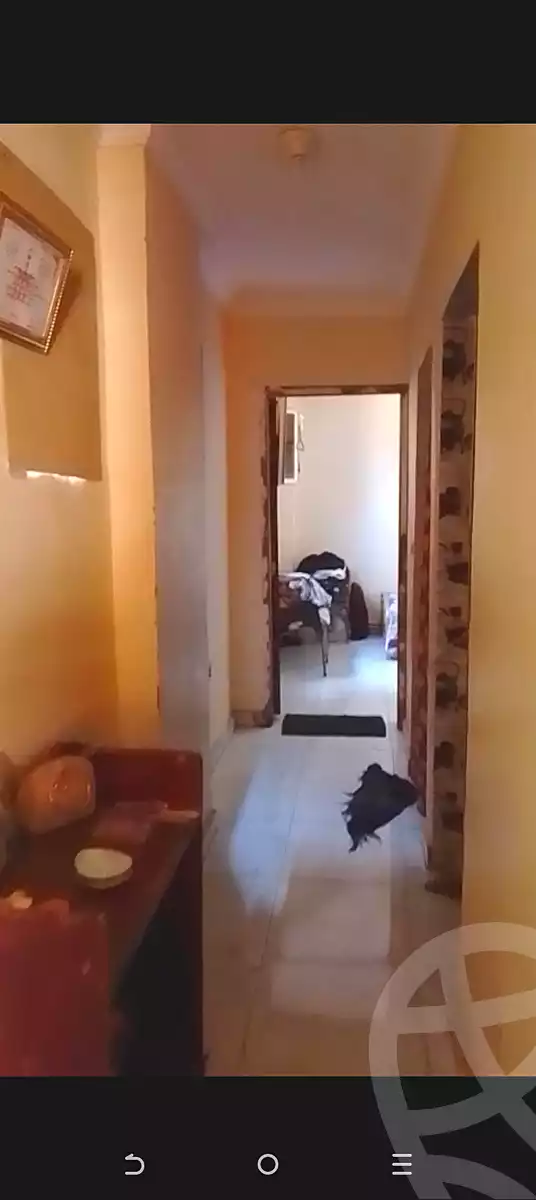 https://aqarmap.com.eg/ar/listing/7057016-for-sale-cairo-ain-shams-yaacoub-boutros-st