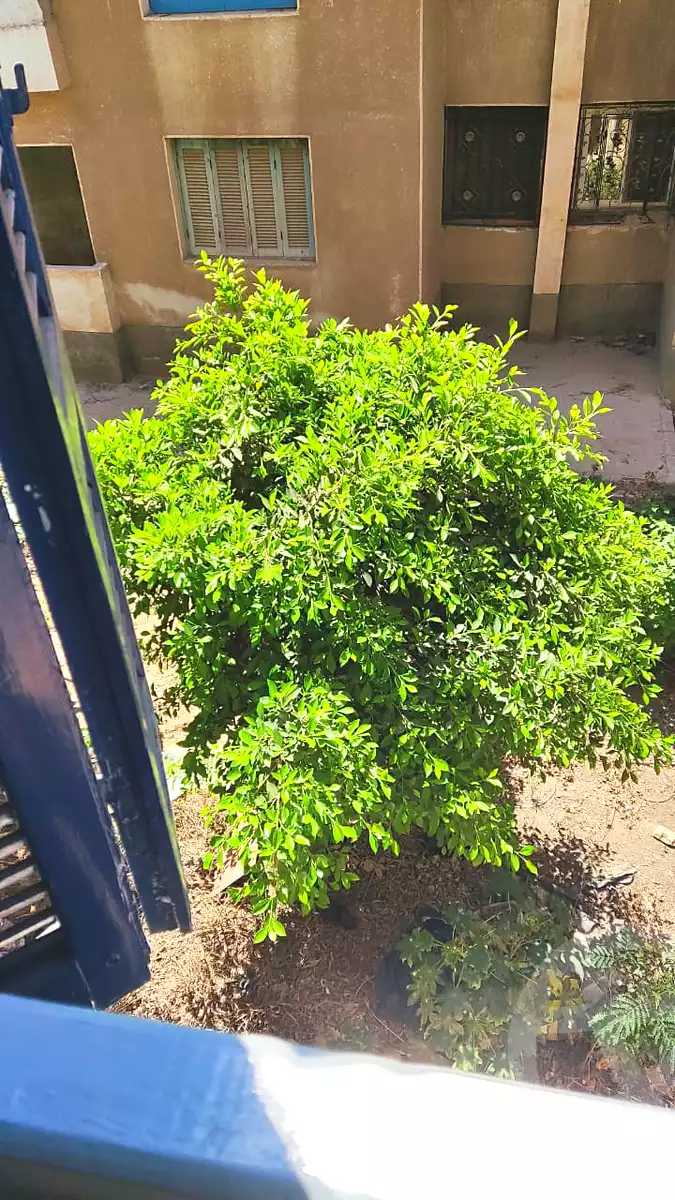 https://aqarmap.com.eg/ar/listing/7049157-for-sale-cairo-6th-of-october-el-ahyaa-neighborhood-11th