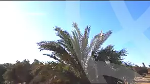 https://aqarmap.com.eg/ar/listing/7063307-for-sale-ismailia-el-qantara