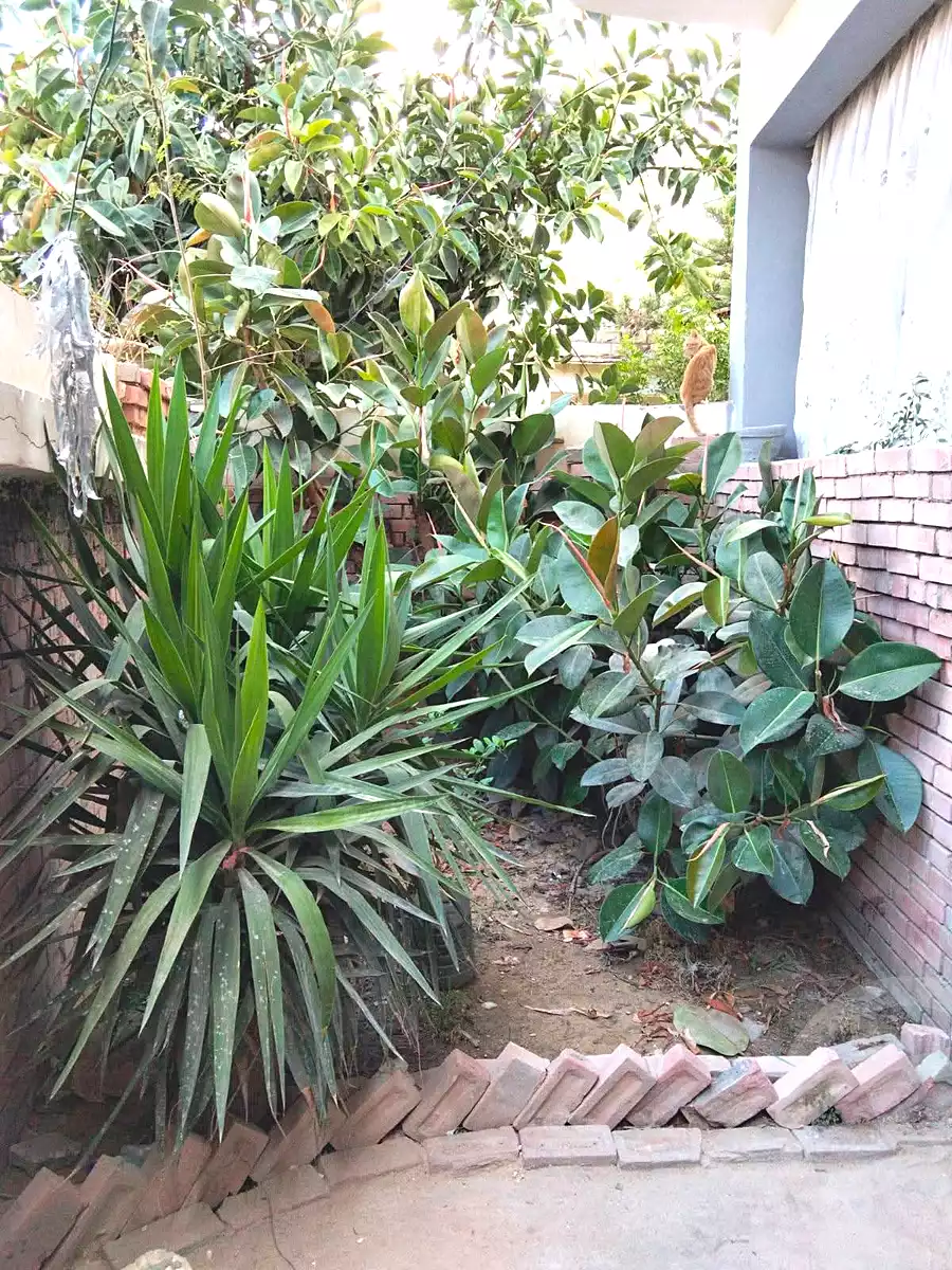 https://aqarmap.com.eg/en/listing/7064067-for-sale-alexandria-al-agamy-el-hanouvel-el-attar-st