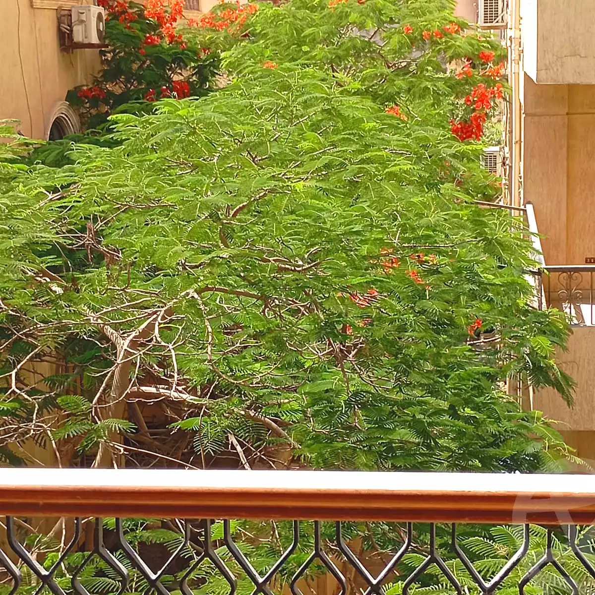 https://aqarmap.com.eg/ar/listing/7067778-for-rent-cairo-new-cairo-el-ahyaa-fourth-neighborhood-street-1