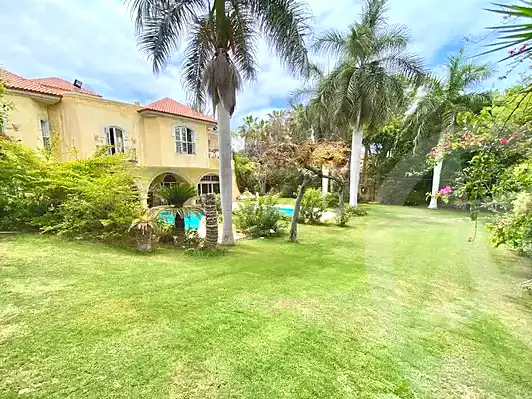 https://aqarmap.com.eg/ar/listing/7072405-for-rent-alexandria-al-agamy-lbytsh-el-hanafeya-st