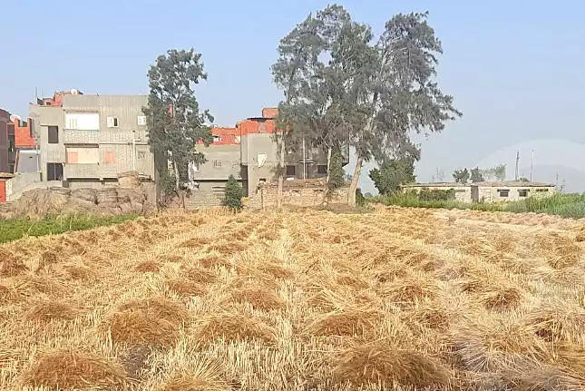 https://aqarmap.com.eg/ar/listing/7078102-for-sale-dakahlia-mansoura-met-el-sarem