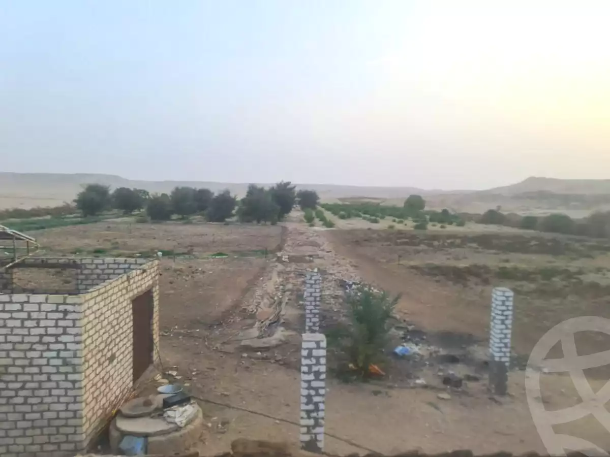 https://aqarmap.com.eg/en/listing/7079941-for-sale-luxor-el-bayadiyah-el-boghdady
