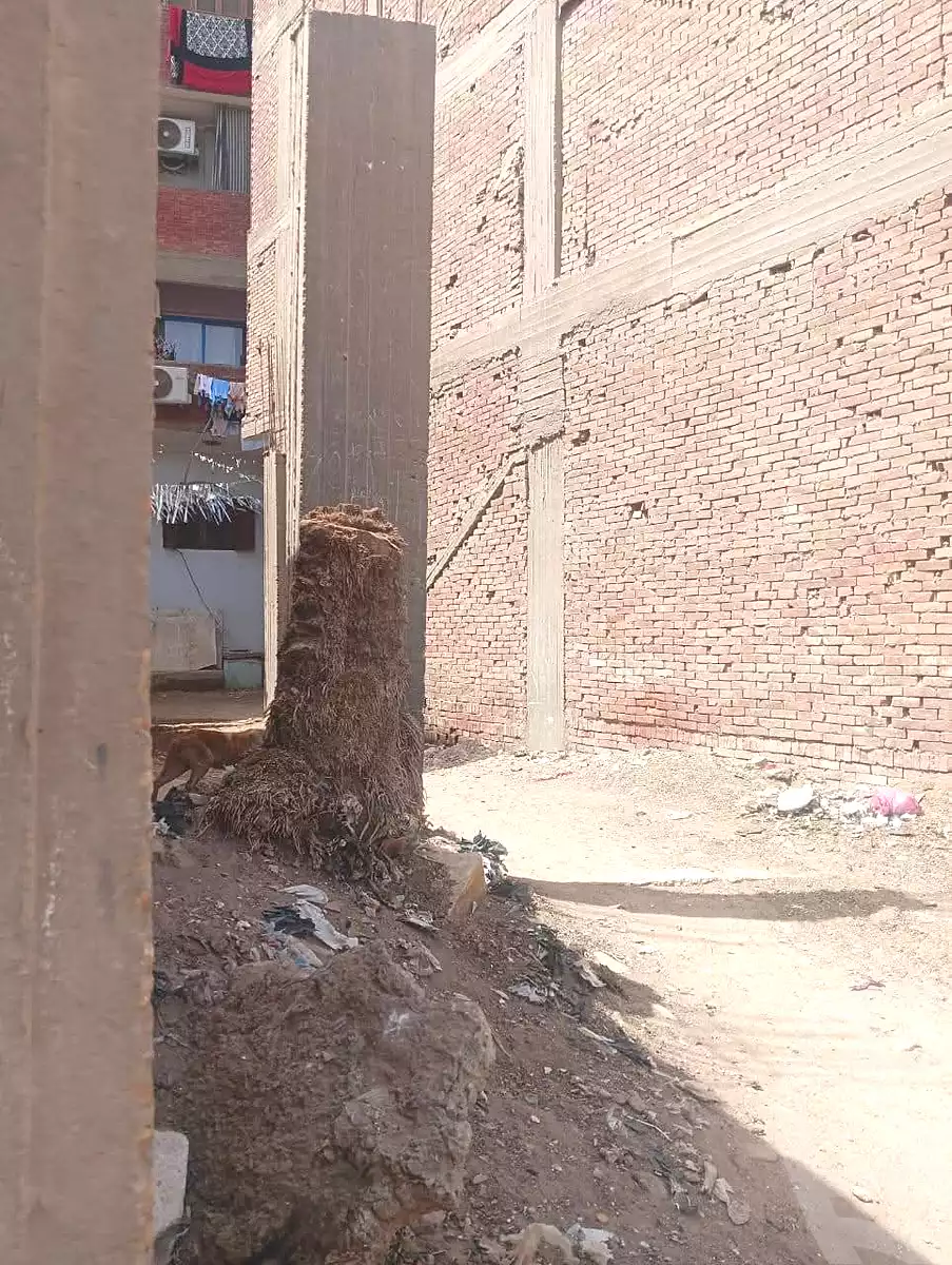 https://aqarmap.com.eg/ar/listing/7083958-for-sale-cairo-ljyz-el-moneeb-el-kholafa-el-rashedeen-st