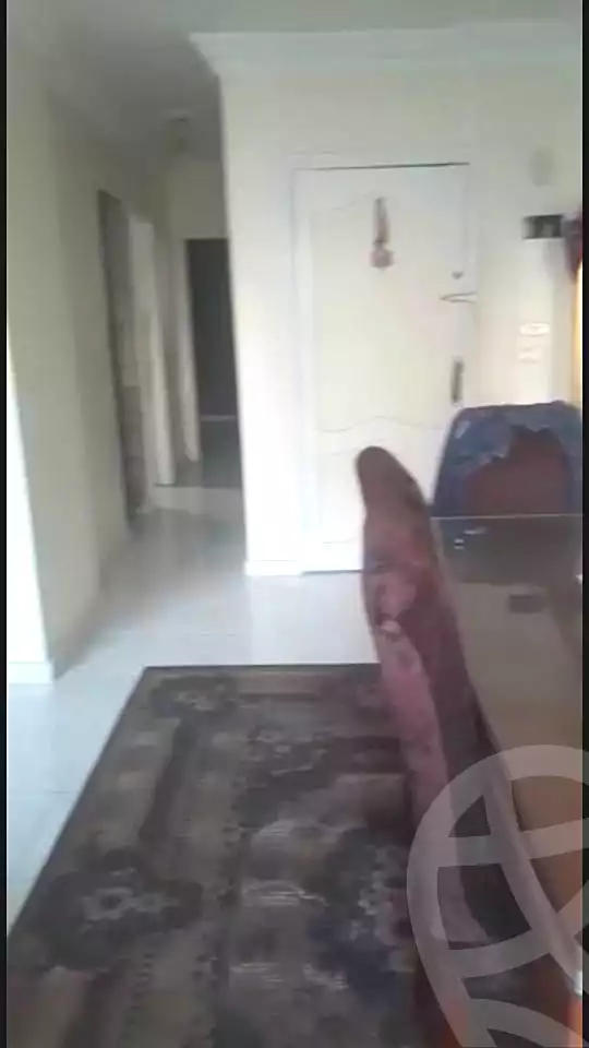 https://aqarmap.com.eg/en/listing/7085226-for-sale-alexandria-fyktwry-el-qady-noeman-st