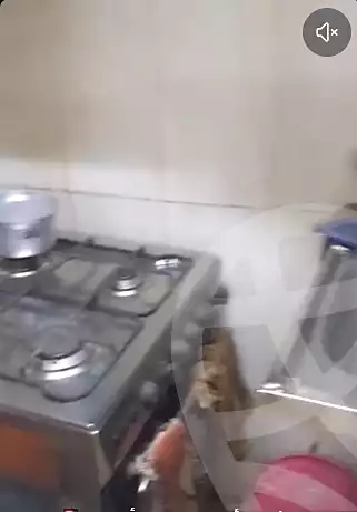 https://aqarmap.com.eg/en/listing/7088520-for-rent-cairo-el-haram-bolak-el-dakror-nahia-st