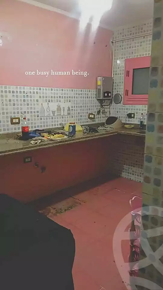 https://aqarmap.com.eg/en/listing/7095656-for-rent-alexandria-sydy-bshr-sydy-bshr-bhry