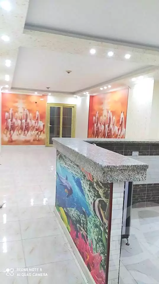 https://aqarmap.com.eg/en/listing/7096519-for-rent-cairo-faisal