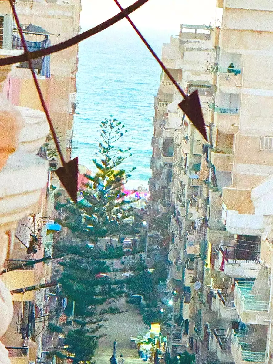 https://aqarmap.com.eg/ar/listing/7100014-for-sale-alexandria-al-agamy-shataa-el-nakheel