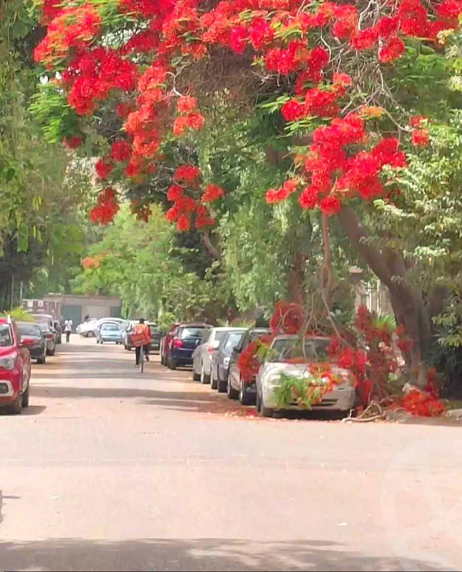 https://aqarmap.com.eg/ar/listing/7100570-for-sale-cairo-faisal