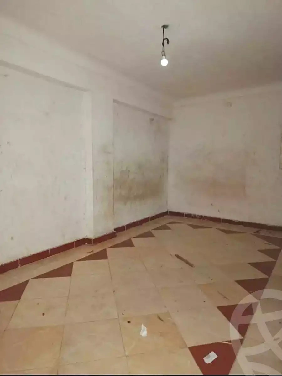 https://aqarmap.com.eg/en/listing/7101045-for-rent-alexandria-lsywf-el-falki